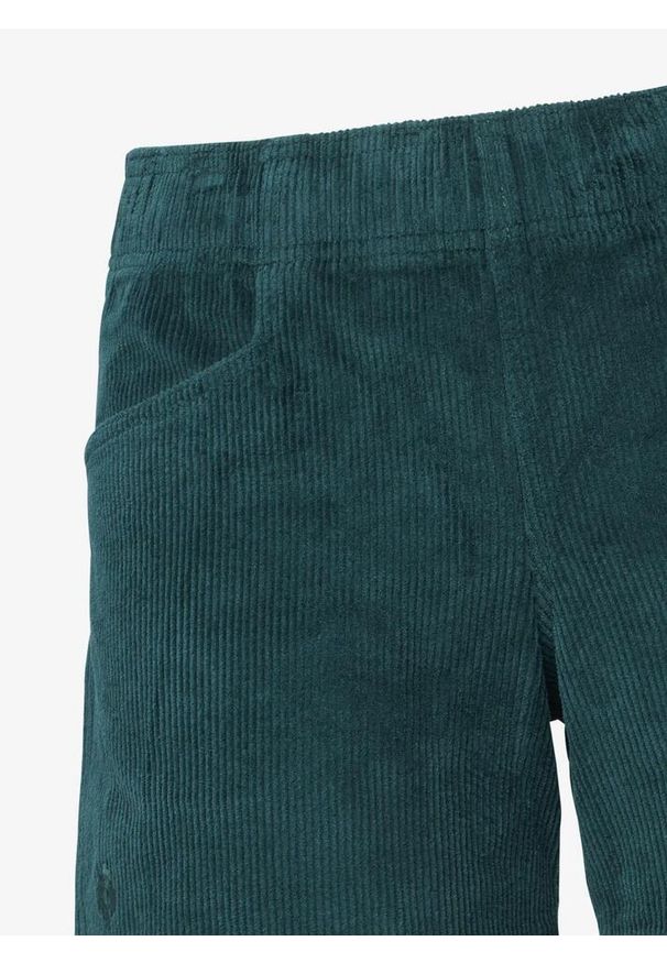 Spodenki wspinaczkowe damskie Black Diamond Dirtbag Corduroy Shorts. Kolor: zielony. Sport: turystyka piesza