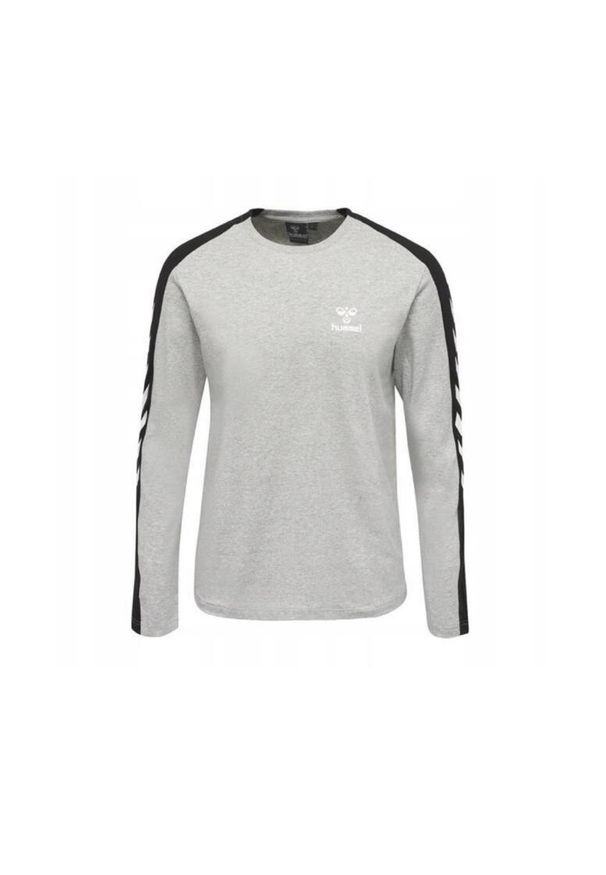 Koszulka z długim rękawem Hummel HML Flint T-Shirt. Kolor: szary. Długość rękawa: długi rękaw. Długość: długie