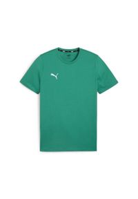 Koszulka męska Puma Team Goal Casuals Tee. Kolor: zielony. Materiał: materiał