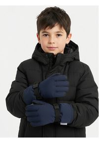 Reima Rękawiczki dziecięce Tartu 5300105A Granatowy. Kolor: niebieski. Materiał: materiał #4