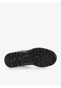 MEINDL - Buty turystyczne damskie Meindl Top Trail Lady GTX. Kolor: szary. Styl: sportowy