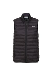 Regatta - Damska Kamizelka Marizion. Kolor: wielokolorowy, czarny, zielony, brązowy. Sport: turystyka piesza #1