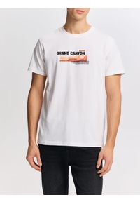 Reserved - T-shirt regular z nadrukiem - biały. Kolor: biały. Materiał: dzianina, bawełna. Wzór: nadruk #1