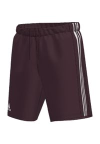 Adidas - Spodenki piłkarskie dla dzieci adidas Squadra 21 Short. Kolor: biały, brązowy, czerwony, wielokolorowy. Długość: krótkie. Styl: sportowy