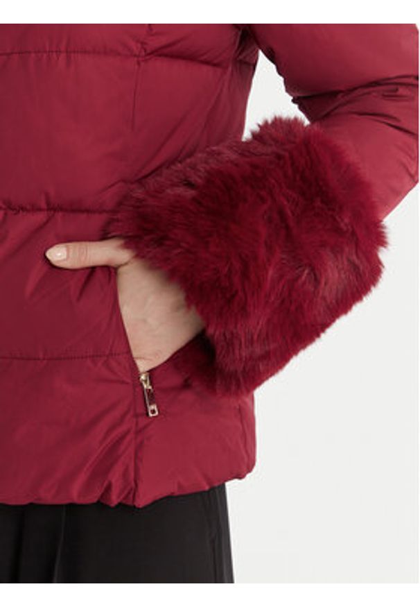 Artigli Kurtka przejściowa ACPM003096 Bordowy Regular Fit. Kolor: czerwony. Materiał: syntetyk