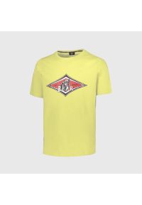 BEAR - Koszulka z misiem i dużym logo w kolorze selera zielonego. Kolor: zielony. Sport: skateboard #1