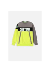 Lemon Explore - Bluza sportowa dla dzieci Lemon Exlopre ZL3 oversize. Kolor: wielokolorowy. Materiał: bawełna, poliester. Wzór: nadruk. Sport: joga i pilates