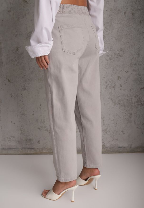 Renee - Szare Jeansy z Bawełny Mom Fit HIgh Waist z Wiązaniem w Pasie Origonia. Okazja: na co dzień. Stan: podwyższony. Kolor: szary. Styl: vintage, casual