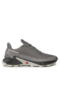 salomon - Salomon Buty do biegania Alphacross 5 473133 29 W0 Szary. Kolor: szary. Materiał: materiał #1
