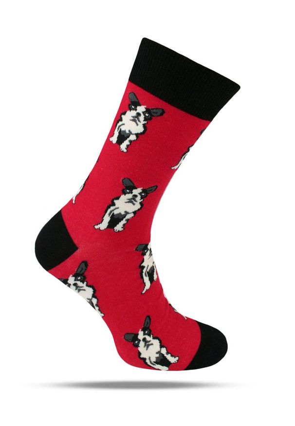 His Story - Tematyczne Skarpetki Bawełniane - Psy na Czerwonym Tle. Kolor: czerwony. Materiał: elastan, bawełna, poliamid
