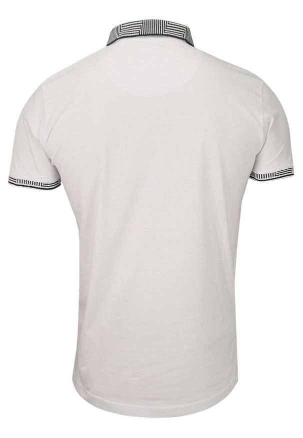 Biała Bawełniana Koszulka POLO -Brave Soul- Męska, Krótki Rękaw, z Kołnierzykiem, Sportowa. Okazja: na co dzień. Typ kołnierza: polo. Kolor: biały. Materiał: bawełna. Długość rękawa: krótki rękaw. Długość: krótkie. Sezon: wiosna, lato. Styl: sportowy