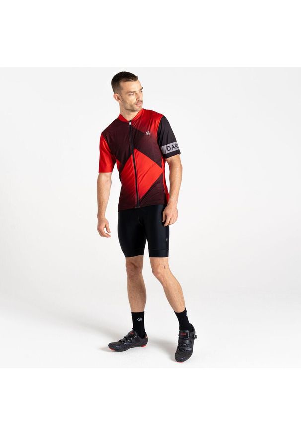 DARE 2B - Koszulka rowerowa męska AEP Pedal z krótkim rękawem. Kolor: czerwony. Długość rękawa: krótki rękaw. Długość: krótkie