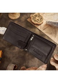 Portfel skórzany PAOLO PERUZZI T-79-BR brązowy. Kolor: brązowy. Materiał: skóra #1