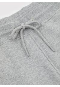 Pako Lorente - PAKO LORENTE - Spodnie dresowe w szarym kolorze. Okazja: na co dzień. Kolor: szary. Materiał: dresówka. Wzór: gładki. Styl: casual #2