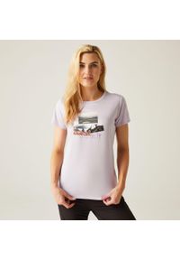 Regatta - Fingal VIII damska koszulka. Kolor: różowy, wielokolorowy, fioletowy. Materiał: tkanina. Sport: turystyka piesza #1