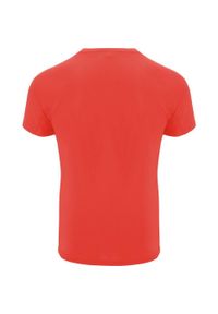 ROLY - Męska Koszulka Sportowa Z Krótkim Rękawem Bahrain. Kolor: pomarańczowy. Długość rękawa: krótki rękaw. Długość: krótkie. Sport: turystyka piesza
