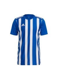Adidas - Koszulka męska adidas Striped 21 Jersey. Kolor: niebieski, biały, wielokolorowy. Materiał: jersey. Sport: piłka nożna