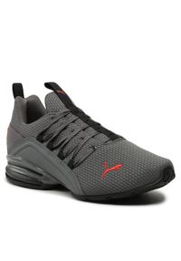Buty Puma. Kolor: czarny, szary #1