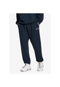 Spodnie dresowe męskie Prosto Football. Kolor: niebieski. Materiał: dresówka. Sport: piłka nożna #1