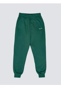 Big-Star - Spodnie damskie dresowe zielone Foxie 304. Kolor: zielony. Materiał: dresówka. Wzór: haft. Sport: turystyka piesza #7