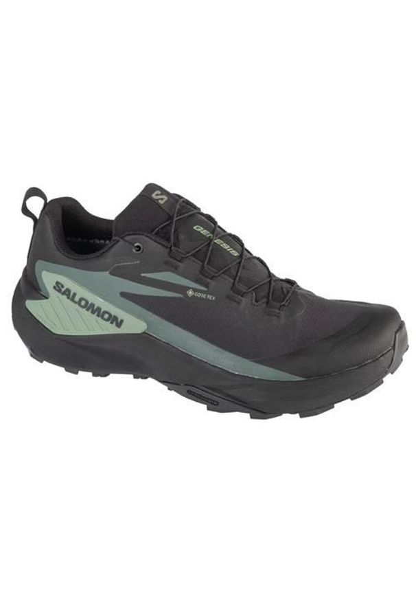 salomon - Buty do biegania męskie Salomon Genesis Gtx. Kolor: szary. Materiał: materiał. Szerokość cholewki: normalna. Technologia: Gore-Tex. Sport: bieganie