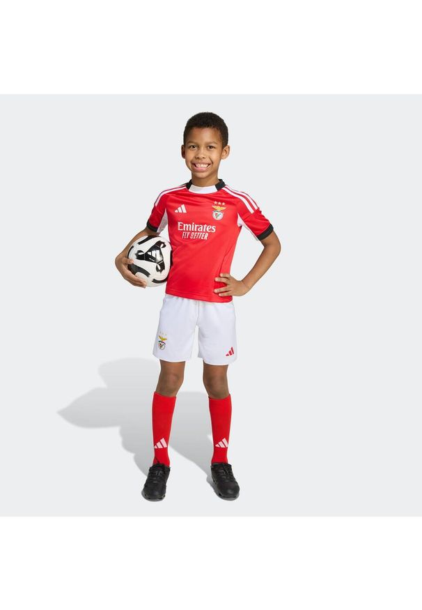 Adidas - Minizestaw piłkarski dla dzieci Benfica 25/26 domowy. Sport: piłka nożna