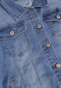 Born2be - Jasnoniebieska Jeansowa Kurtka z Przetarciami i Kieszeniami z Klapami Hazelle. Okazja: na co dzień. Kolor: niebieski. Materiał: jeans. Długość rękawa: długi rękaw. Długość: długie. Styl: klasyczny, casual #5