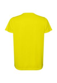 ROLY - Koszulka Z Krótkim Rękawem Estoril Dziecięca. Kolor: żółty. Długość rękawa: krótki rękaw. Długość: krótkie. Sport: turystyka piesza