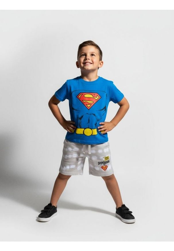 Sinsay - Koszulka SUPERMAN - niebieski. Kolor: niebieski. Długość rękawa: krótki rękaw. Długość: krótkie. Wzór: motyw z bajki