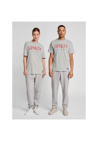 Koszulka Hummel Legacy Loyalty. Kolor: szary. Sport: fitness #1