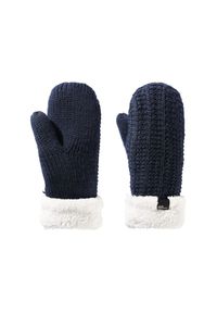 Rękawiczki turystyczne zimowe damskie Jack Wolfskin Highloft Knit Mitten. Kolor: niebieski. Materiał: poliester. Sezon: zima. Sport: turystyka piesza #1