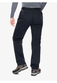Spodnie trekkingowe męskie Montane Terra Lite Pants. Kolor: czarny