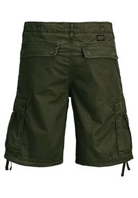 Jack & Jones Szorty materiałowe Cole Frank 12291369 Zielony Regular Fit. Kolor: zielony. Materiał: bawełna #3