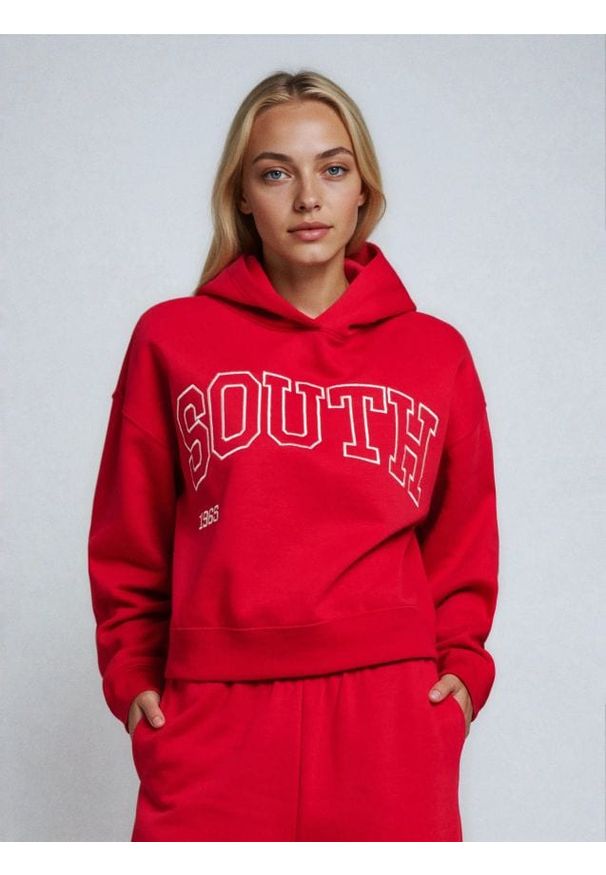 Sinsay - Bluza hoodie z nadrukiem - czerwony. Kolor: czerwony. Wzór: nadruk