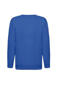 FRUIT OF THE LOOM - Bluza Dziecięca Premium. Kolor: niebieski