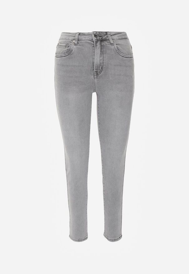 Renee - Szare Jeansy o Kroju Regular z Bawełnianego Denimu Timasta. Okazja: na co dzień. Kolor: szary. Styl: casual, klasyczny
