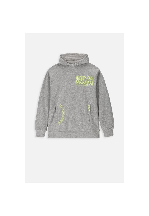 Lemon Explore - Bluza sportowa dziecięcy Lemon Exlopre ZL3 z kapturem. Typ kołnierza: kaptur. Kolor: szary. Materiał: bawełna, wiskoza. Wzór: nadruk