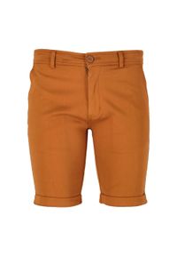 CRUZ - Szorty Cruz Jerryne. Kolor: pomarańczowy. Sport: turystyka piesza #1