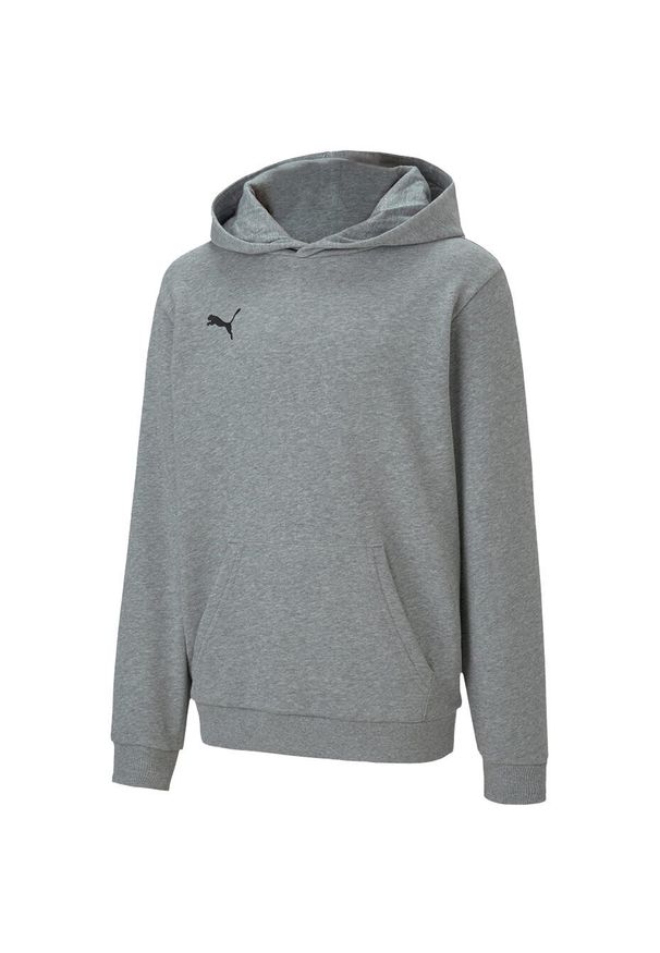 Bluza dla dzieci Puma teamGOAL 23 Casuals Hoody Jr Medi szara. Kolor: szary