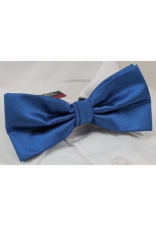 Niebieska muszka Alties elegancka
