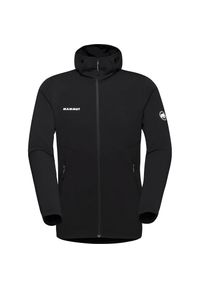 Bluza trekkingowa męska Mammut Aconcagua Light ML Hooded. Kolor: czarny, szary, wielokolorowy