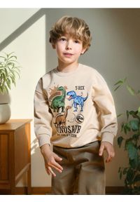 Sinsay - Bluza z dinozaurami - beżowy. Kolor: beżowy #1