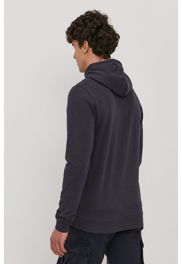 Helly Hansen - Bluza. Okazja: na co dzień. Typ kołnierza: kaptur. Kolor: szary. Wzór: nadruk. Styl: casual