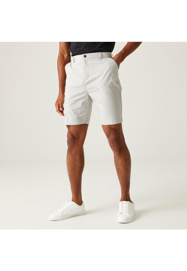 Regatta - Męskie spodenki Dalry Multi Pocket. Kolor: szary. Materiał: tkanina. Sport: turystyka piesza