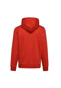 Diadora - Bluza męska DIADORA HOODIE BIG LOGO. Kolor: czerwony