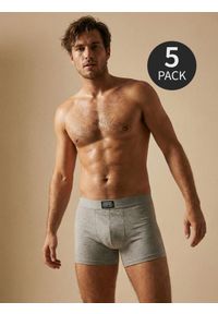 Sinsay - Bawełniane bokserki Classic 5 pack - szary. Kolor: szary. Materiał: bawełna #1