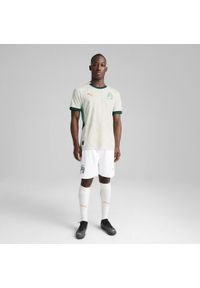 Puma - Męskie szorty Wybrzeże Kości Słoniowej 2025 PUMA White Dark Myrtle Green. Kolor: wielokolorowy, zielony, biały