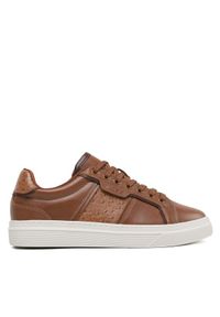 Aldo Sneakersy Courtline 13569818 Brązowy. Kolor: brązowy. Materiał: skóra