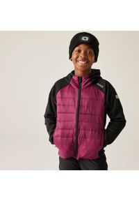 Regatta - Dziecięce Kielder Hybrid IX. Kolor: fioletowy #1