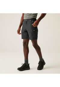 Regatta - Męskie spodenki Leesville. Kolor: szary. Materiał: tkanina, poliamid. Sport: turystyka piesza #1